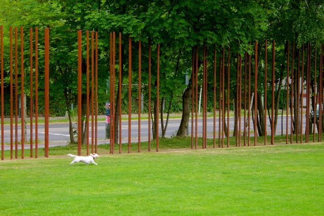 A real dog playing fetch by the Berlin Wall Memorial on Bernauer Straße